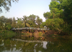 Bridge in India