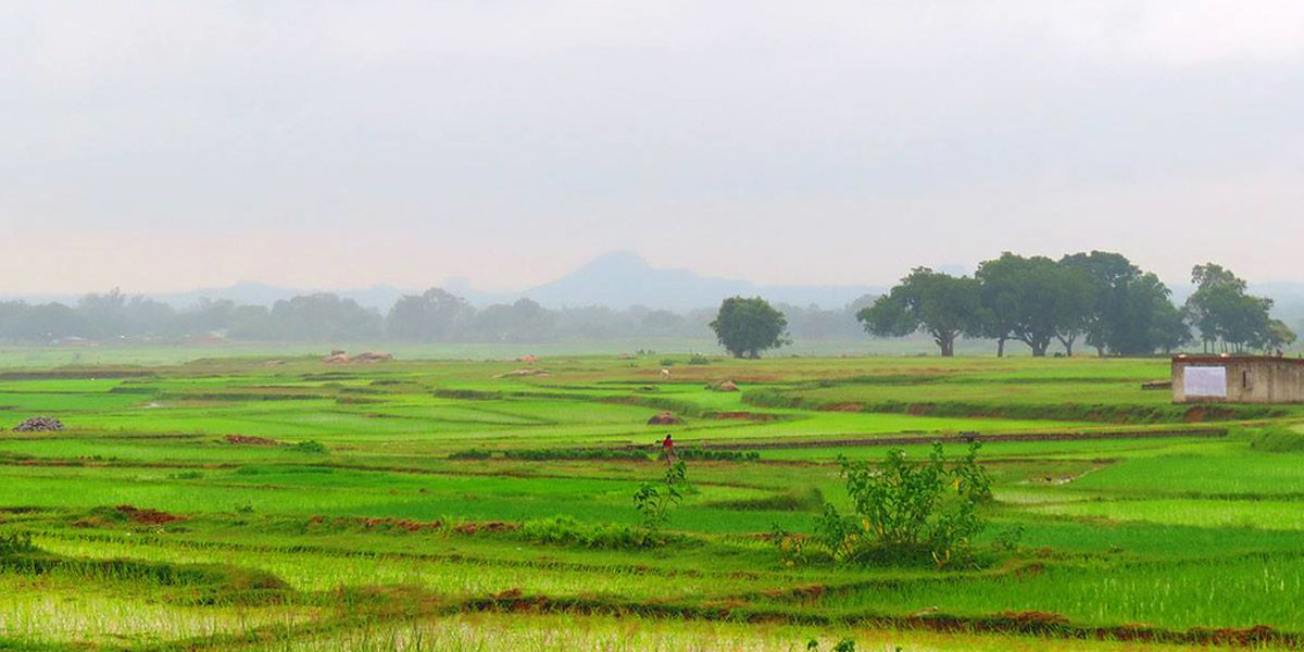 Jharkhand landscape - Photo: Flickr / Wasim Raja