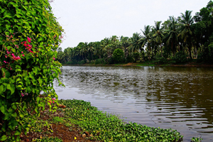 Villagers immersed the couple in frigid water for 17 hours. (Flickr / pranav)