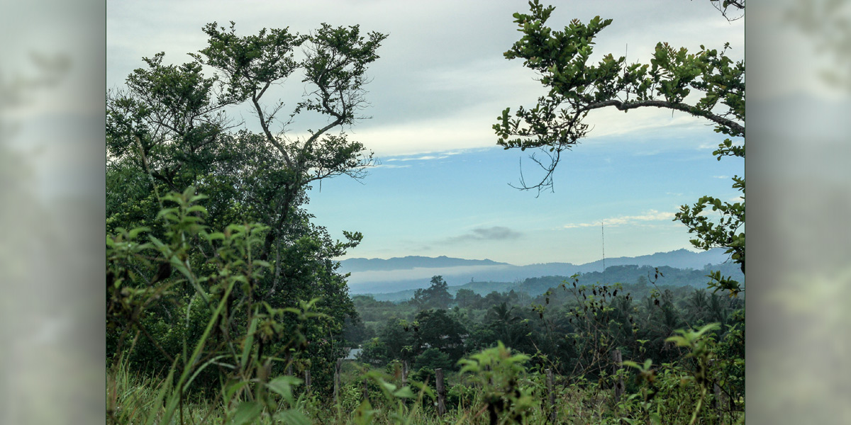 Central Sulawesi - Photo: Flickr / Ruth Onduko