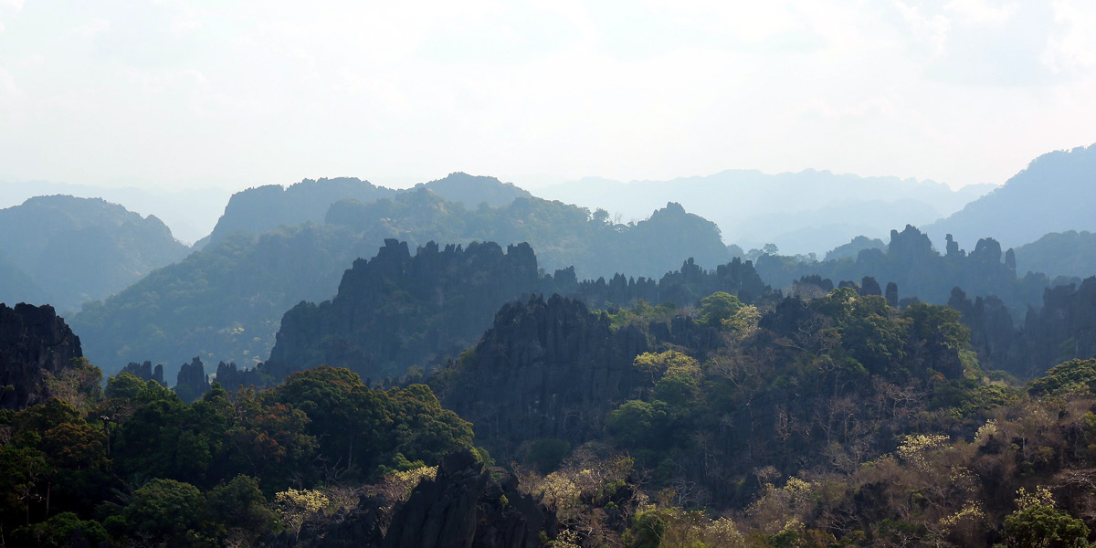 A forest in Laos - Photo: Pixabay