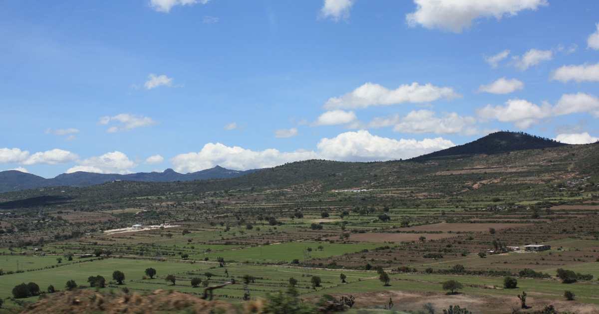 Green fields with hills in the background.