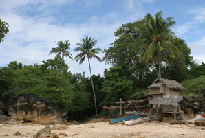 A beach in the Philippines