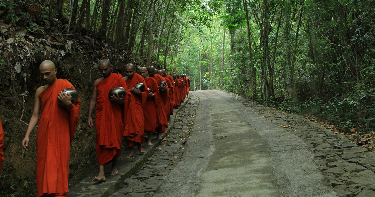 Monks walking along a tree covered road.