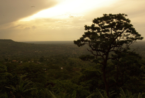 Uganda landscape