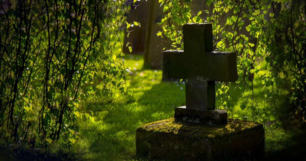 A headstone under some trees