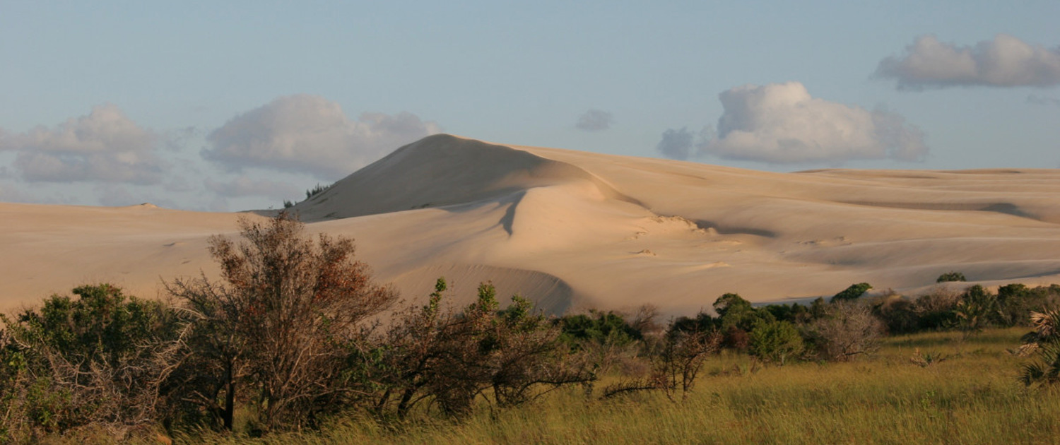 Mozambique - Sandy hills with trees in the foreground.